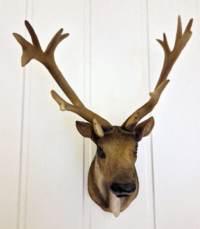 H-0-027 Hjort-med-horn-web.jpg