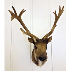 Hjort m/horn veggpryd