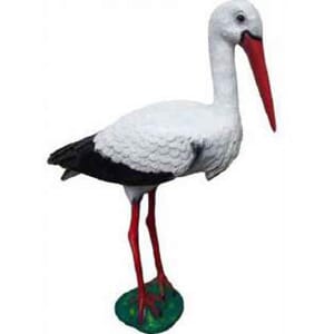 Stork
