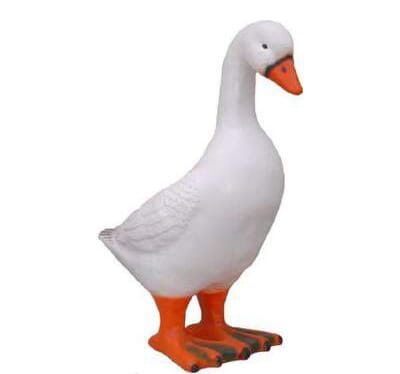 HMJ-A-62 hm-a-62-a62.jpg