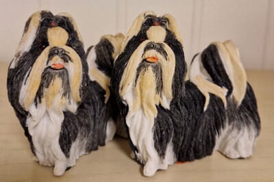 H-0-012 Lhasa Apso.jpg