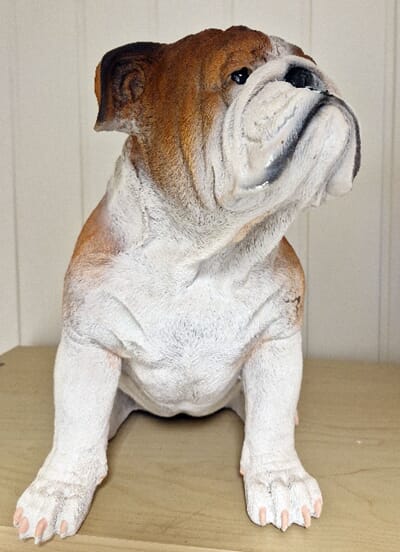 H-0-024 Bulldog-web.jpg