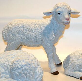 H-0-018 Sheep standing.jpg