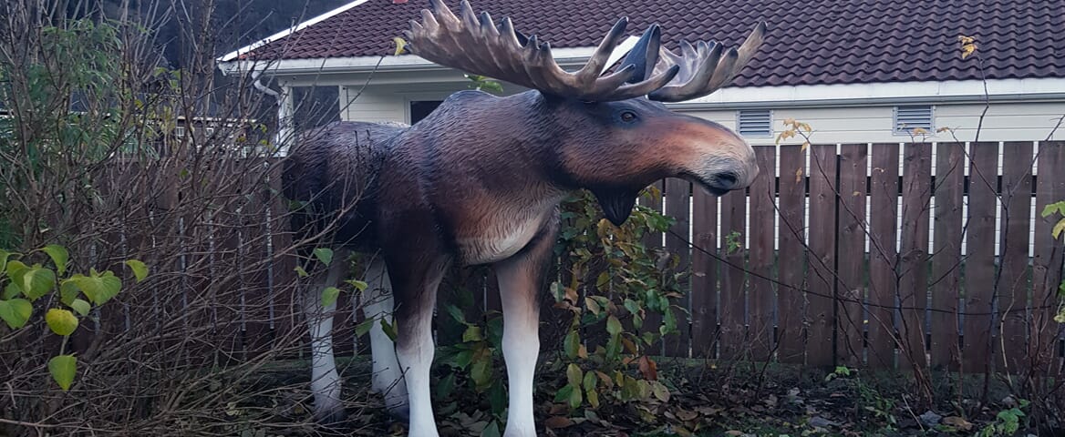 "Elg-karusell-web.jpg"