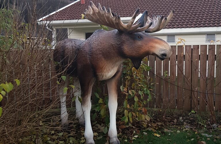 "Elg-karusell-web-mob.jpg"