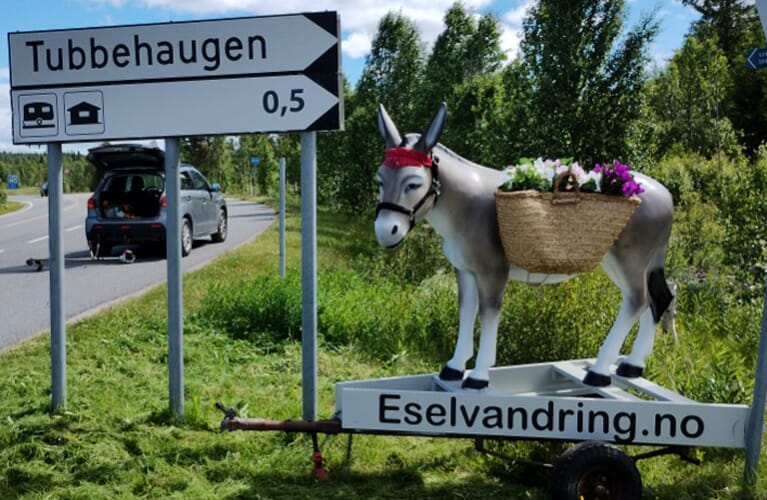 "Esel-mobile-Tubbenhaugen.jpg"
